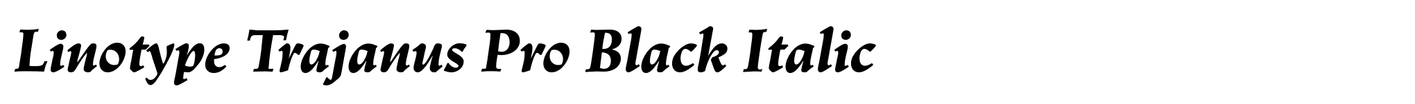Linotype Trajanus Pro Black Italic image
